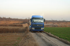 中国重汽 斯太尔王 290马力 8X4 粉粒物料车(凌宇牌)(CLY5319GFL)