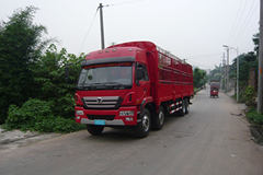 徐工 瑞龙重卡 260马力 8X4 仓栅式载货车(NXG5246CSY3)