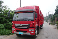 徐工 瑞龙重卡 260马力 8X4 仓栅式载货车(NXG5246CSY3)