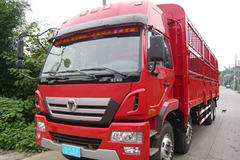 徐工 瑞龙重卡 260马力 8X4 仓栅式载货车(NXG5246CSY3)