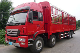 瑞龙&nbsp;载货车外观                                                图片