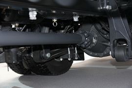 斯堪尼亚 P系列&nbsp;载货车底盘                                                图片