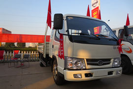 霸铃&nbsp;载货车外观                                                图片