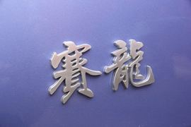 赛龙&nbsp;载货车外观                                                图片