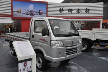 金杯之星&nbsp;载货车外观                                                图片
