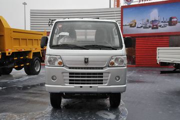 金杯之星&nbsp;载货车外观                                                图片