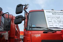 龙腾&nbsp;载货车外观                                                图片