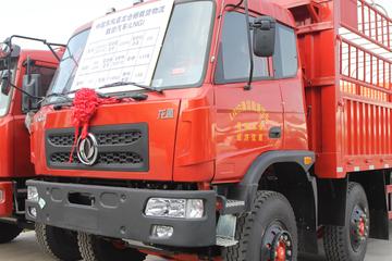 龙腾&nbsp;载货车外观                                                图片