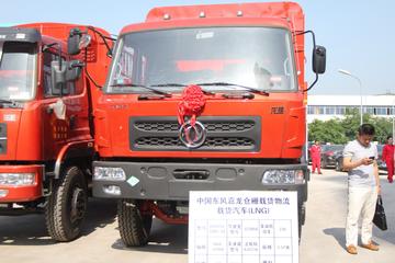 龙腾&nbsp;载货车外观                                                图片