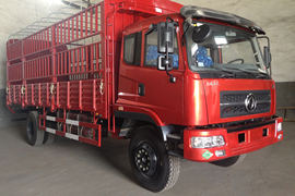 龙骏&nbsp;载货车外观                                                图片