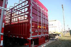 福田 欧曼ETX 5系重卡 230马力 6X2 9.5米仓栅式载货车(BJ5252CCY-XB)