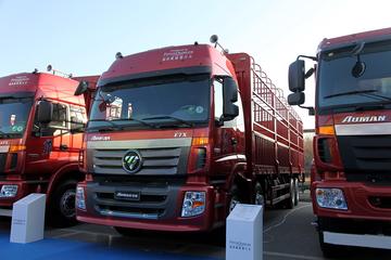 福田 欧曼ETX 6系重卡 310马力 8X4 9.5米仓栅式载货车(BJ5313CCY-XC)