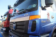 福田 欧曼336马力 8X4 粉粒物料车(HFV5311GFLBJ4)