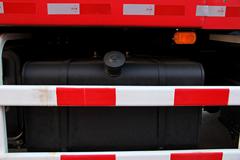 福田 瑞沃RC2 240马力 5.2米自卸车(BJ3163DJPNG-1)