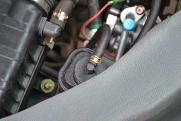 �� ���� 52���� 1.0L �����ͼƬ