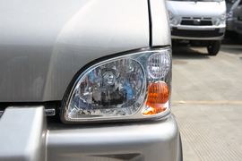 瑞宝&nbsp;载货车外观                                                图片