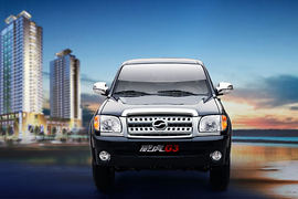 威虎G3&nbsp;皮卡外观                                                图片