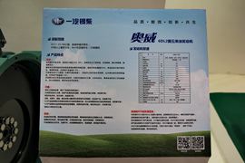 奥威6DL2系列&nbsp;发动机外观                                                图片