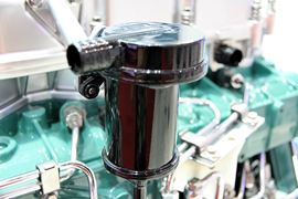 奥威6DL2系列&nbsp;发动机外观                                                图片