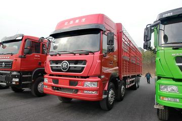 中国重汽 斯太尔DM5G重卡 340马力 8X4 9.6米仓栅式载货车(4.875速比)(ZZ5313CCYN466GE1)