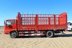 东风商用车 天锦中卡 160马力 4X2 6.75米仓栅式载货车(DFL5140CCYBX18A)