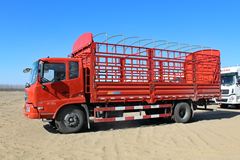 东风商用车 天锦中卡 160马力 4X2 6.75米仓栅式载货车(DFL5140CCYBX18A)