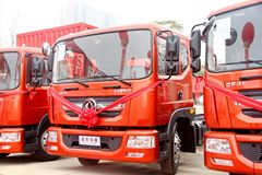 东风 多利卡D9中卡 160马力 4X2 6.8米厢式载货车(DFA5161XXYL10D7AC) 东风 多利卡D9中卡 160马力 4X2 6.8米厢式载货车(DFA5161XXYL10D7AC)