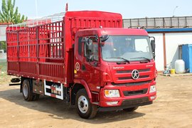 大运N6&nbsp;载货车外观                                                图片