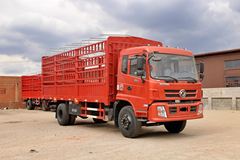 东风华神 御虎中卡 180马力 4X2 6.8米仓栅式载货车(DFS5168CCYL1)