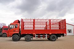 东风华神 御虎中卡 190马力 6X2 7.2米仓栅式载货车(EQ5253CCYF1)
