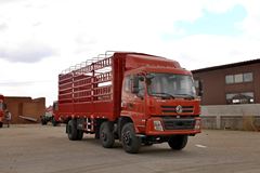 东风华神 御虎中卡 190马力 6X2 7.2米仓栅式载货车(EQ5253CCYF1)