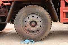 陕汽商用车 轩德中卡 220马力 6X2 7.8米仓栅式载货车(SX5255CCYGP4)