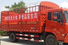 东风天锦&nbsp;载货车外观                                                图片