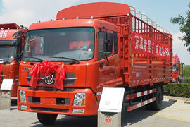 东风天锦&nbsp;载货车外观                                                图片