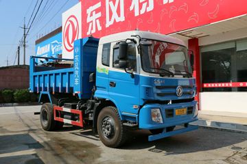东风特商 180马力 4X2 4.2米自卸车(环卫车)(EQ3160GF8)