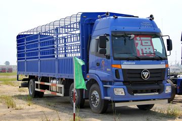 ŷETX 5ϵؿ 230 6X2 9.5ײդʽػ(BJ5252CCY-XB) ͼƬ