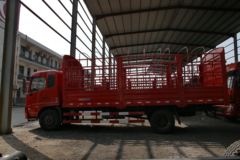 东风商用车 天锦中卡 180马力 4X2 6.75米排半仓栅式载货车(DFL5160CCQBX5)