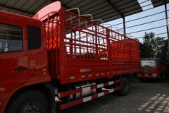 东风商用车 天锦中卡 180马力 4X2 6.75米排半仓栅式载货车(DFL5160CCQBX5)