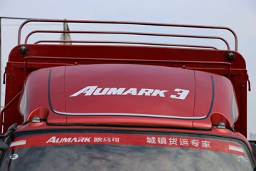 ���� ŷ����3ϵ 118���� 4.165�׵��Ų�դ�Ῠ(BJ5049CCY-F4)ͼƬ