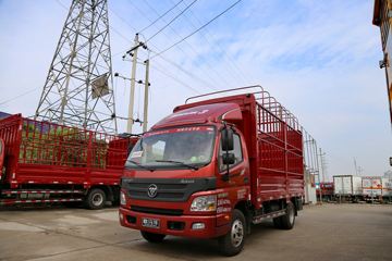 ���� ŷ����3ϵ 118���� 4.165�׵��Ų�դ�Ῠ(BJ5049CCY-F4)ͼƬ