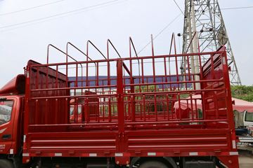 ���� ŷ����3ϵ 118���� 4.165�׵��Ų�դ�Ῠ(BJ5049CCY-F4)ͼƬ