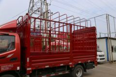 福田 欧马可3系 118马力 4.165米单排仓栅轻卡(BJ5049CCY-F4)