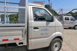 新豹&nbsp;载货车外观                                                图片