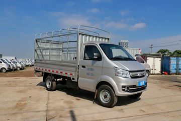 新豹&nbsp;载货车外观                                                图片