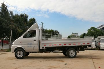 新豹&nbsp;载货车外观                                                图片