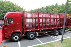 现代商用车 创虎XCIENT重卡 410马力 8X4 9.46米仓栅式载货车(CHM5310CCQKPQ77V)