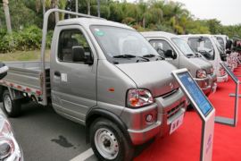 瑞宝&nbsp;载货车外观                                                图片