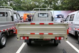 瑞宝&nbsp;载货车外观                                                图片