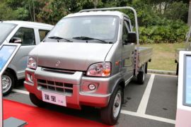 瑞宝&nbsp;载货车外观                                                图片