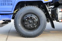 福田瑞沃 金刚 工程型 113马力 3.9米自卸车(BJ3165DKPEA-1)